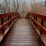 Istock_000002638579xsmall - Virginia Family Law Blog Marital Fault