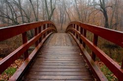 Istock_000002638579xsmall (2) - Virginia Family Law Blog