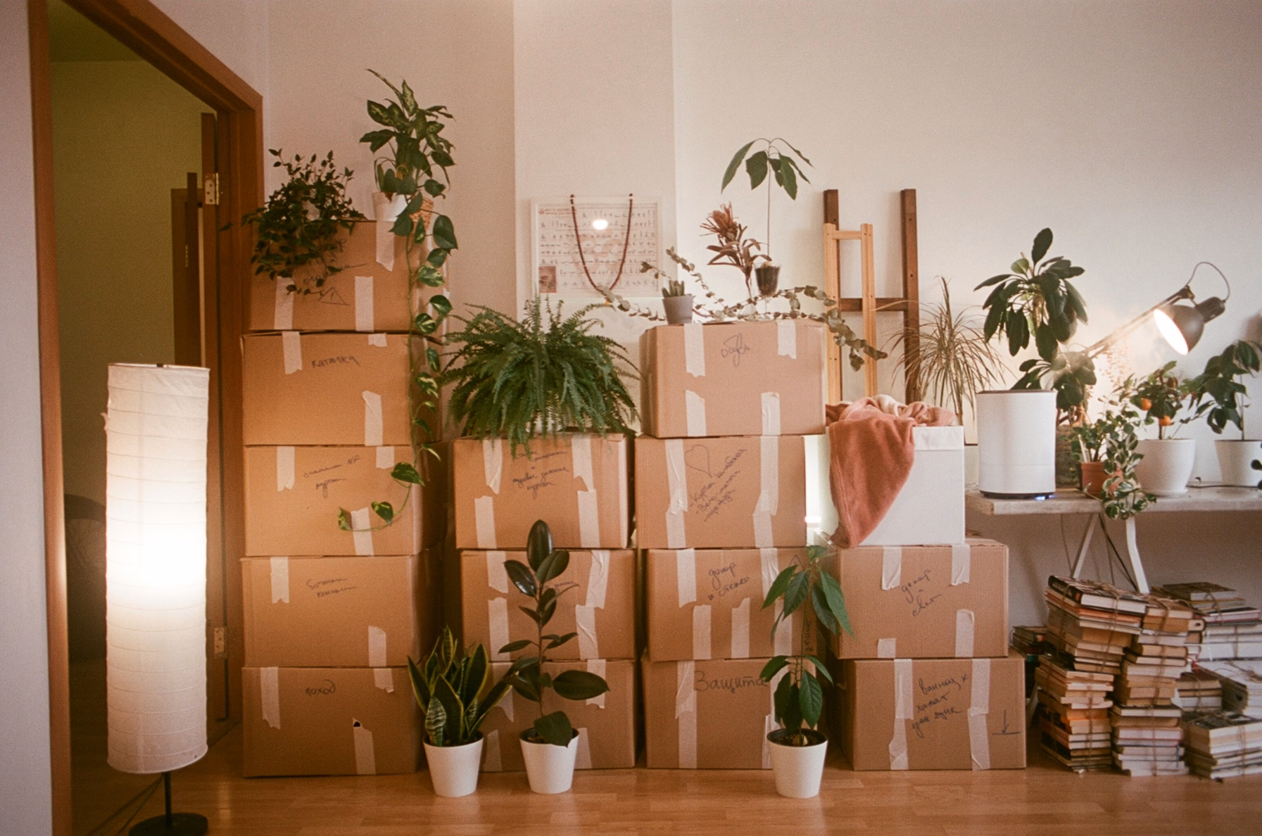 Moving boxes stacked in a family home before a relocation